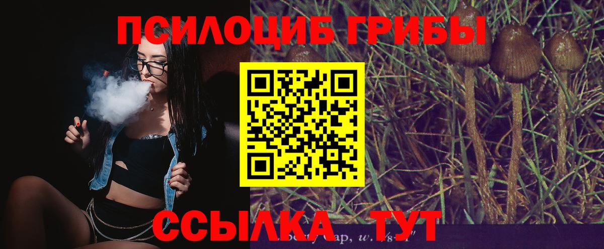 хочу   Галлюциногенные грибы GOLDEN TEACHER  Вход с VPN  Ревда 